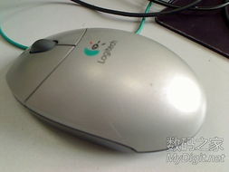 数字产品技术交流网站 构建开发者生态的新桥梁