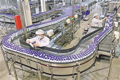 科技引领 产业升级——技术咨询如何助力宁夏强工业筋骨筑牢经济发展基石