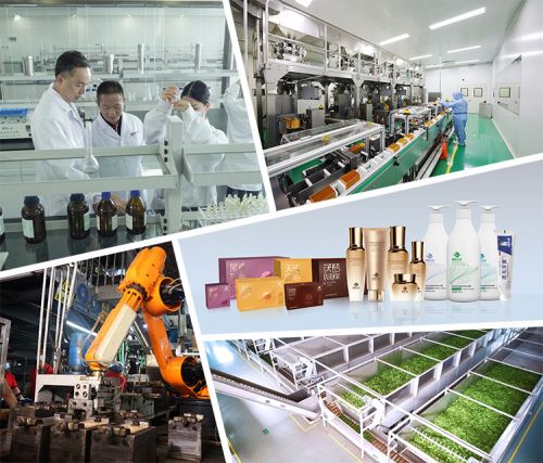 理想华莱两项茶叶加工设备技术获国家实用新型专利授权